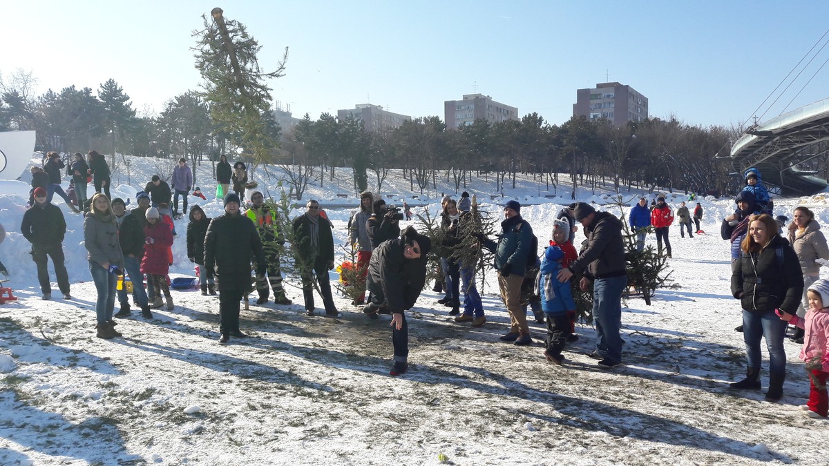 Au azvârlit cu brazii și apoi le-au dat foc.