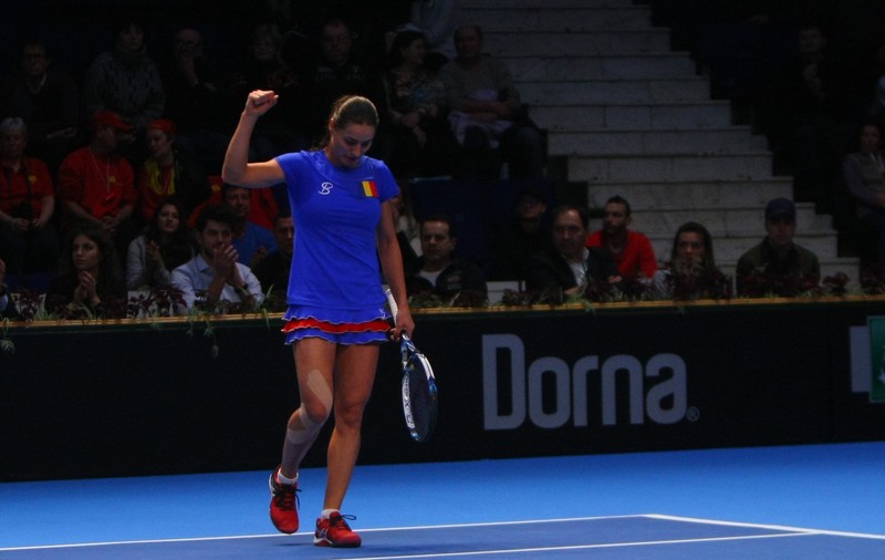 Reacția Monică Niculescu: ”Flipkens mi s-a părut un geniu”. Reacția belgiencei