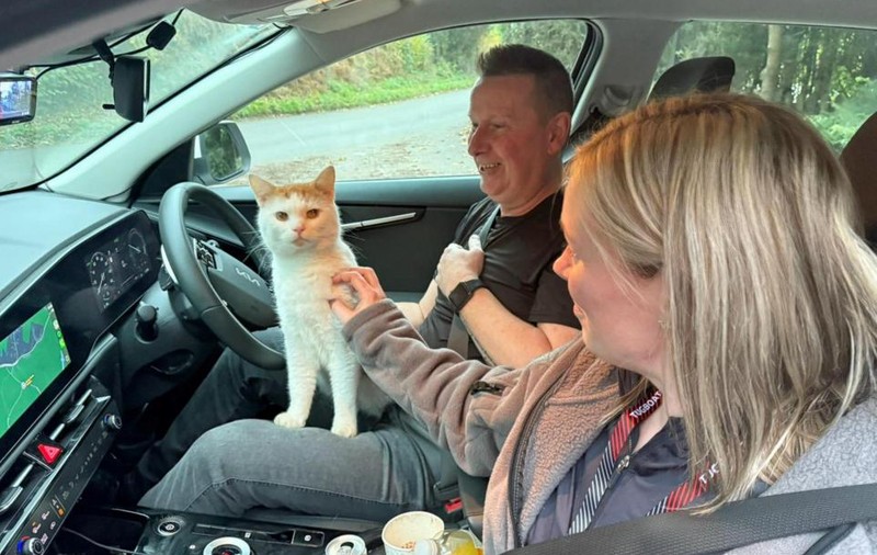 Beans, un motan din Scoția, a dispărut de acasă și a fost găsit la 500 km distanță: „L-am căutat peste tot”