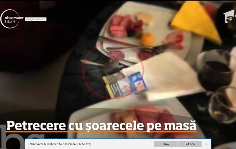 Un șoarece a "dansat" pe masa lăutarilor la un botez la Filiași!