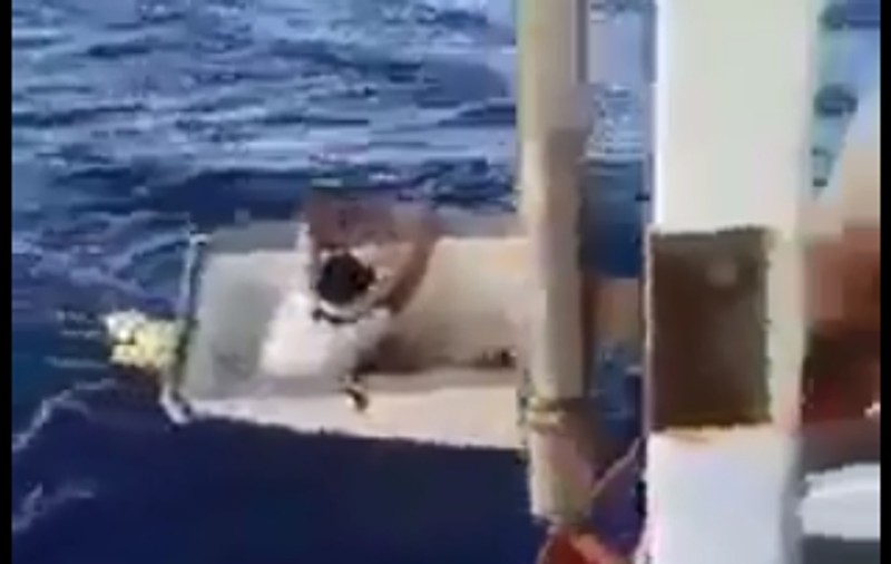 Un pescar brazilian a supraviețuit 11 zile în Oceanul Atlantic, plutind într-un congelator: „A fost un miracol”