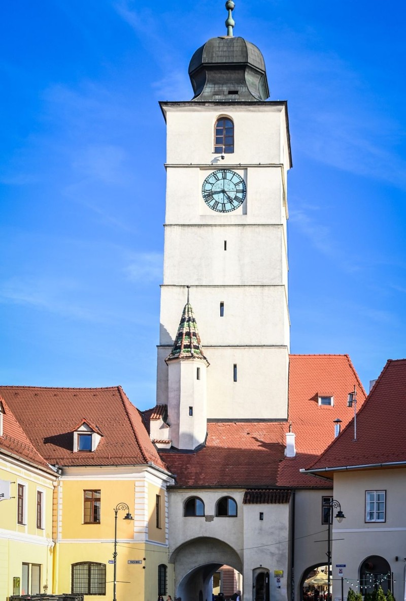 Arhiva foto