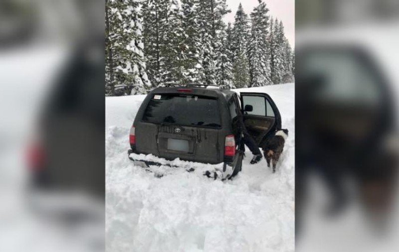 Un bărbat a stat înzăpezit în mașină timp de cinci zile și a supraviețuit miraculos cu singurul aliment pe care îl avea în vehicul. Cu același lucru și-a hrănit și câinele