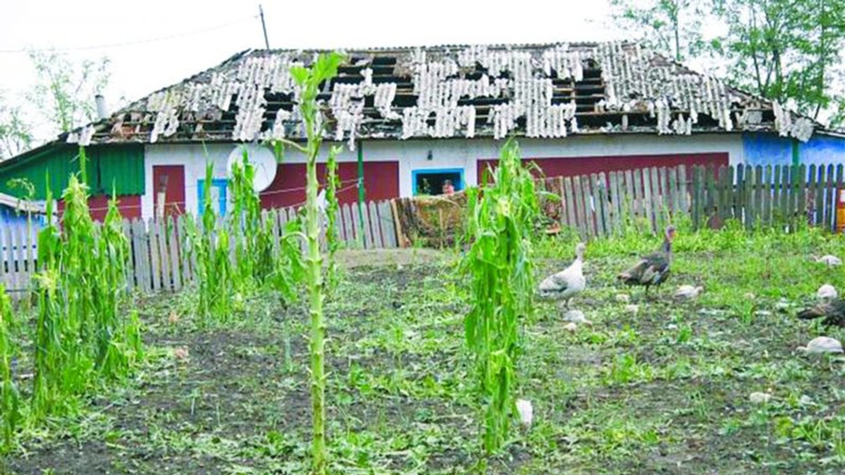 Arhiva foto