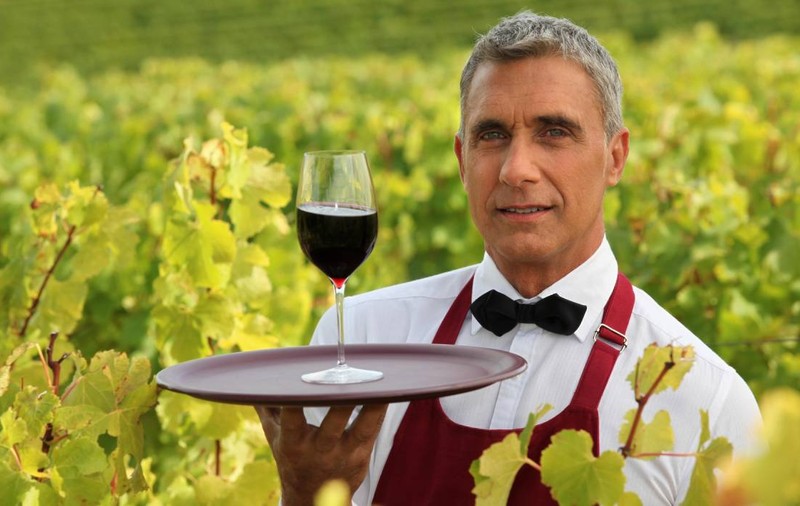 Un nou tip de vin de Bordeaux apare din cauza schimbărilor climatice. Ce se schimbă în una dintre cele mai cunoscute regiuni viticole