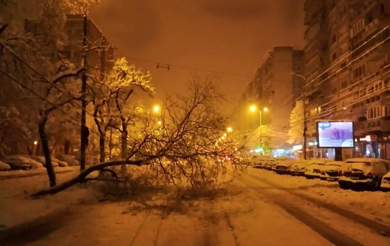 Județul Timiș, a doua zi sub cod portocaliu: peste 40.000 de familii fără curent și peste 140 de situații de urgență