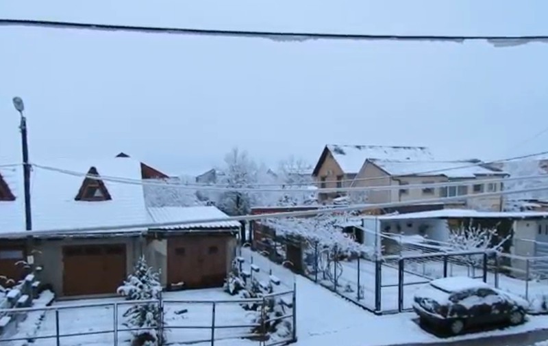 Opt localităţi din judeţul Caraş-Severin au rămas fără energie electrică după ninsorile de sâmbătă