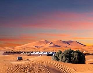 Arhiva foto