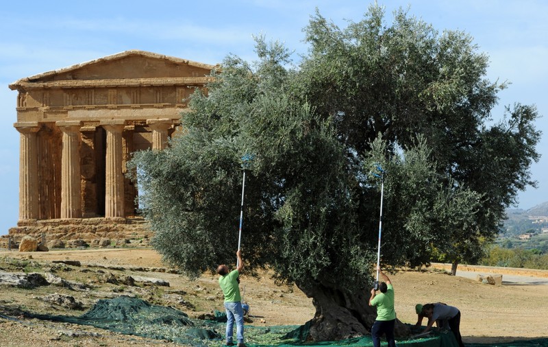 O localitate din Italia, considerată un paradis turistic, nevoită să refuze turiștii pentru că nu le poate garanta că pot trage apa la toaletă