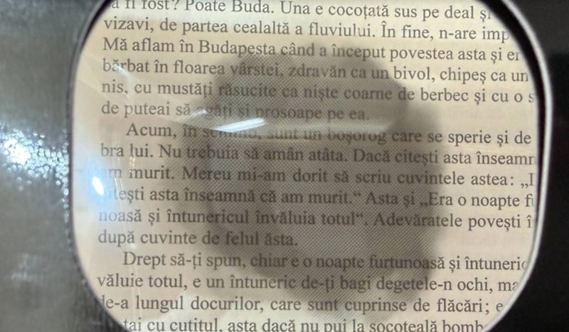 Așa vede o persoană cu degenerescență maculară legată de vârstă (DMLV). În centrul câmpului vizual apare o pată neclară sau întunecată, care face dificil cititul, recunoașterea fețelor sau orientarea. Chiar dacă vederea periferică rămâne relativ bună, afectarea zonei centrale schimbă complet viața de zi cu zi.