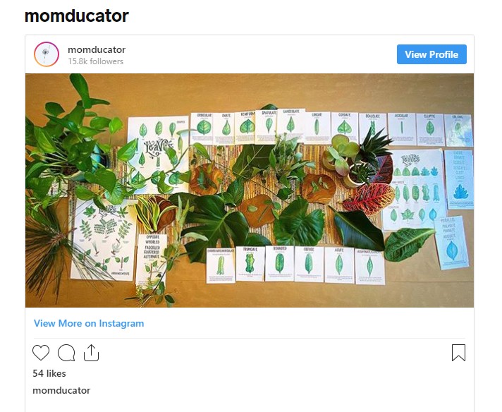 Momducator