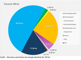 Structura unei facturi de energie electrică de 100 lei. Sursa: E.On Energie