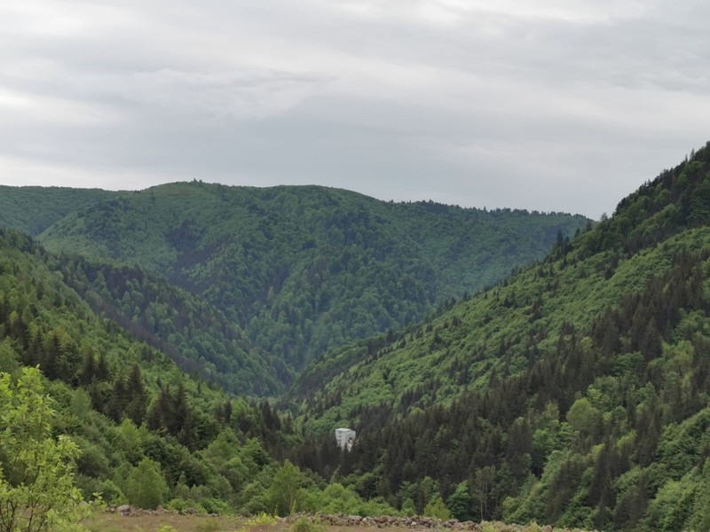 Valea Răstoliței. Foto: Mihai Goțiu