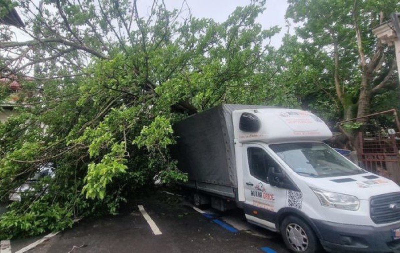 Un copac uriaș a căzut peste 4 mașini parcate și a blocat o stradă întreagă, în sectorul 1 din București