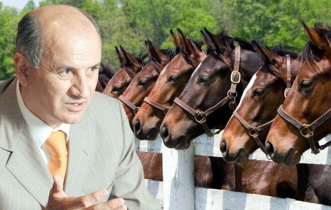 George Copos investește milioane anual în hipism: costuri de 1 milion de euro pentru întreținerea cailor