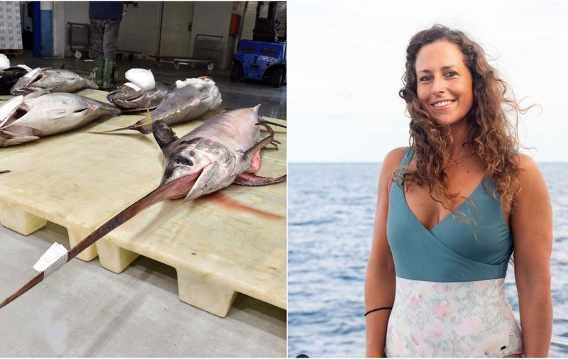 O italiancă de 36 de ani a murit înțepată în inimă de un pește-spadă, în timp ce făcea surf în Indonezia