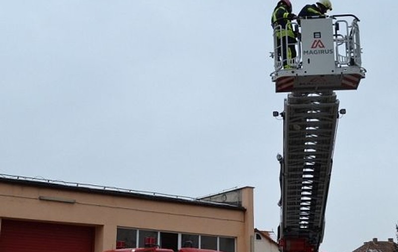 A urcat în copac să salveze o pasăre, dar a solicitat el ajutorul pompierilor pentru a se da jos