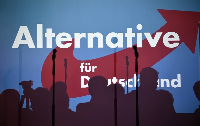 Tot ce trebuie să știi despre AfD, partidul de extremă-dreapta care a intrat în Bundestag și care îngrijorează Europa