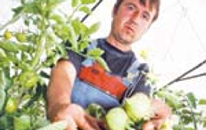 14 euro/ora, munca la sere in Danemarca