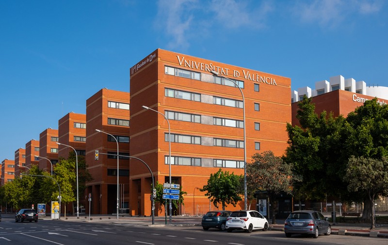 Copiii diasporei. O adolescentă cu părinții emigranți din Vaslui a obţinut cea mai mare notă la examenul pentru admiterea la facultate, în Spania