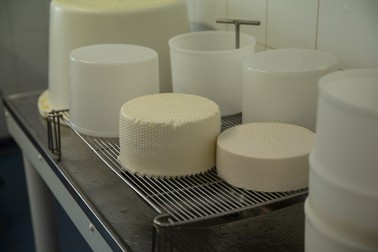 Brânza de capră este vândută fie proaspătă, fie maturată