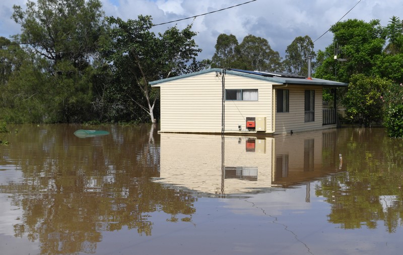 Mediul din Australia se află într-un declin „șocant”. A pierdut mai multe specii decât oricare alt continent, arată un raport