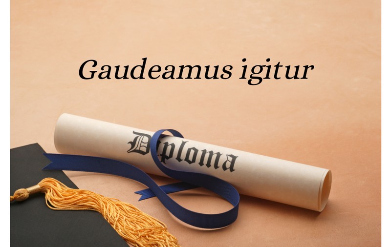 Gaudeamus igitur - versuri și semnificație