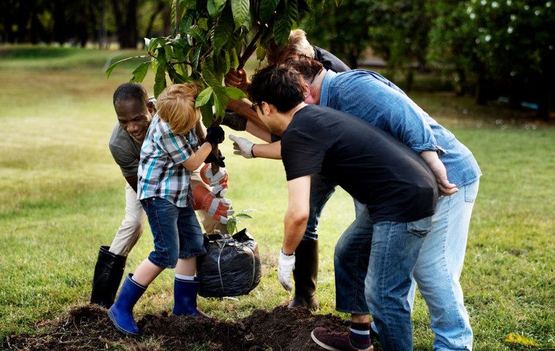 Povestea celor 100 de voluntari care au plantat mii de copaci pe 30 de hectare de pajiște 