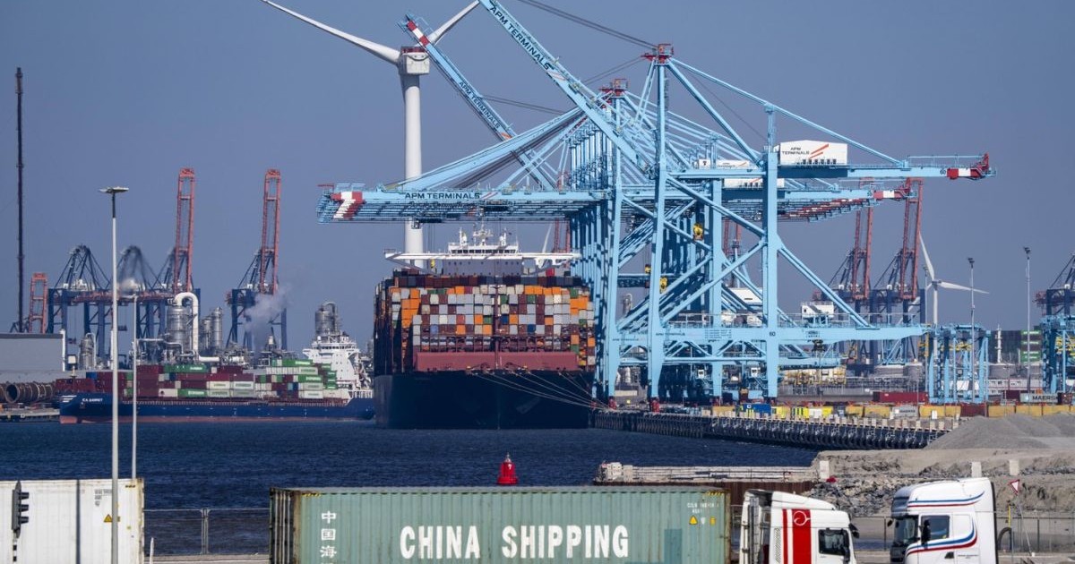 Terminalul de containere APM, unde transportul de containere este încărcat și descărcat, în portul maritim Rotterdam