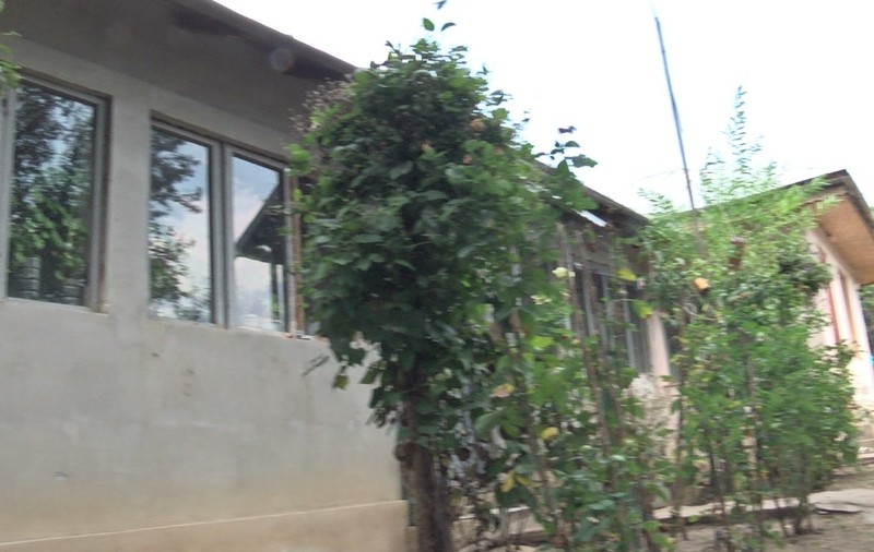 Răsturnare de situație în casa bântuită de fantome din Naipu, Giurgiu! Copilul cu puteri paranormale s-a vindecat, iar spiritele rele au fugit | VIDEO