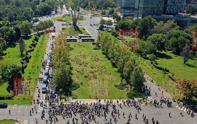 Imagine cu protestul oierilor în fața ANSVSA, făcută de pe Casa Presei. Foto: Cristian Otopeanu / Libertatea