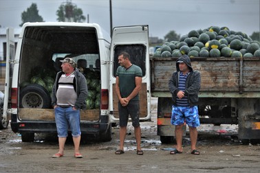 Vremea rece, grecii și samsarii îi supără pe oamenii din Dăbuleni