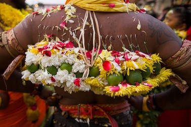 Un pelerin poartă lămâi verzi și flori agățate cu cârlige de spate in timpul festivalului Thaipusam dedicat zeului războiului din mitologia hindusă, Murugan.