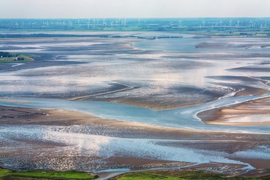 Marea Wadden