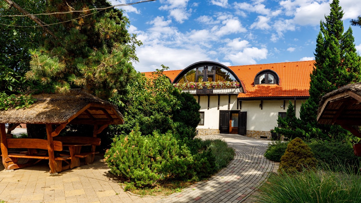 Crame și podgorii frumoase pe care să le vizitezi în România- turism viticol