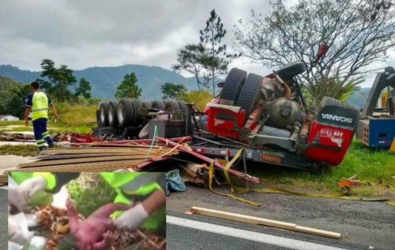 VIDEO | Un bebeluș a supraviețuit după ce a fost smuls din pântecul mamei sale în timpul unui accident îngrozitor