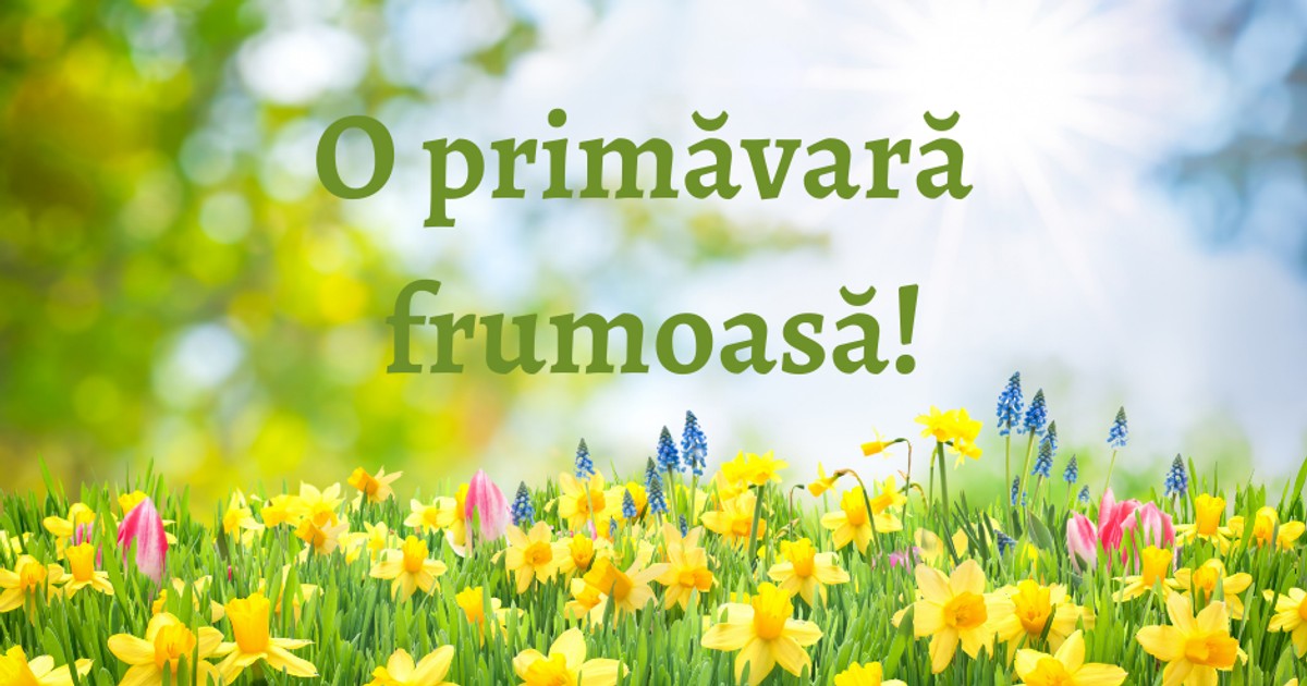 Mesaje de primavara-o primavara frumoasa
