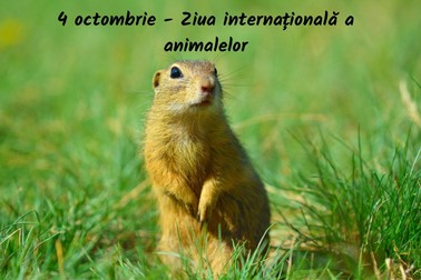 Ziua internationala a animalelor