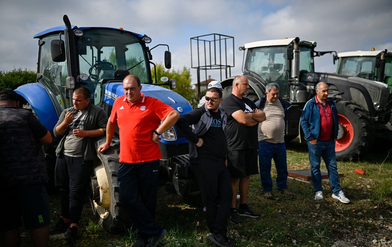Importurile de semințe de floarea soarelui din Ucraina, suspendate în Bulgaria, în urma protestelor fermierilor
