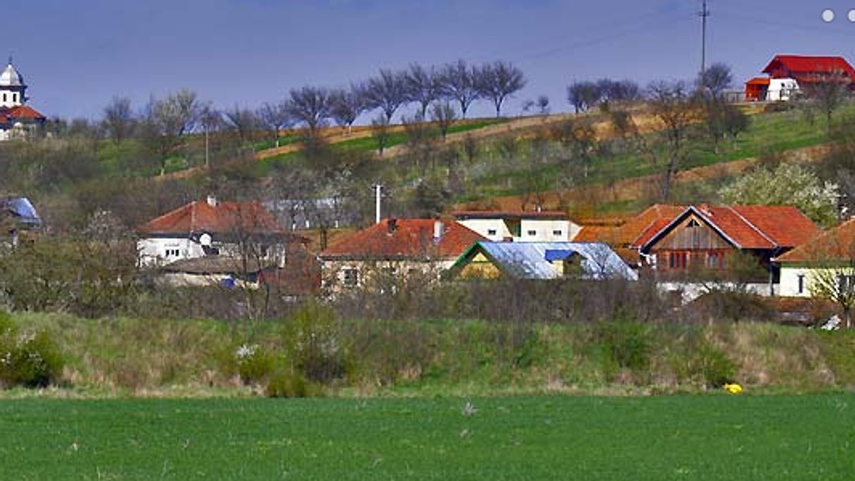 Arhiva foto