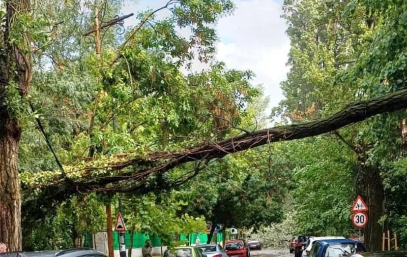 Urmările vijeliei care a făcut prăpăd în București și pe autostrada A1: o femeie a murit în Otopeni, mașini distruse de copaci, trafic îngreunat pe A1