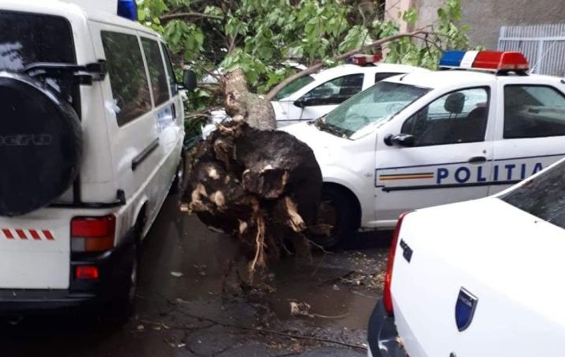 Trei mașini de poliție, lovite de un copac doborât de furtună la Brăila