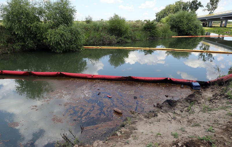 Ecologizare de mântuială pe râul Dâmbovnic. Cronica unei poluări cu 15 tone de petrol: copaci negri, peliculă pe apă, pământ îmbibat