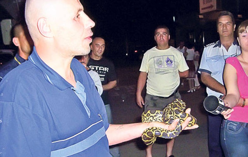 ”Omul cu şarpele” e cercetat de Poliţie