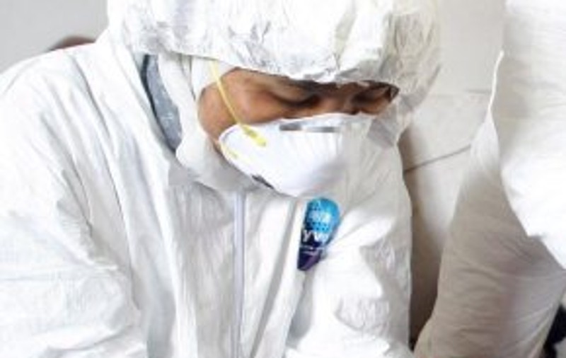 O sută de cazuri de gripă porcină în Noua Zeelandă