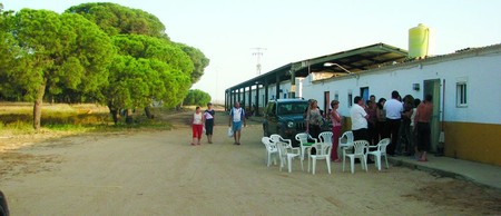 Arhiva foto
