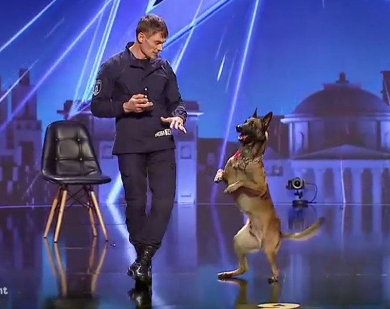 VIDEO | Câinele de frontieră care i-a lăsat fără cuvinte pe jurații Românii au talent
