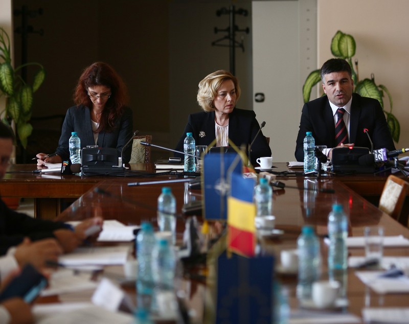UPDATE. Carmen Dan, audiată în Comisia de apărare din Senat: ”Politica penală a ultimilor ani a fost aceea de a se sancționa cu oarecare blândețe violența”