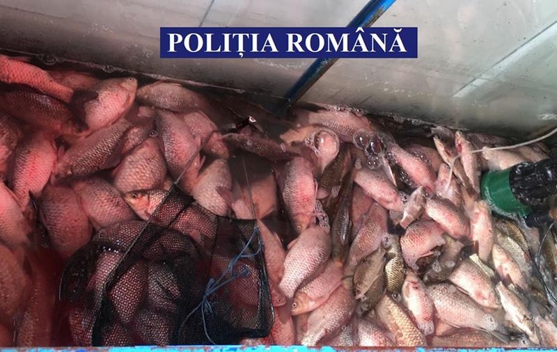 240 kg de peşte și 3 ambarcaţiuni, confiscate de polițiști săptămâna aceasta