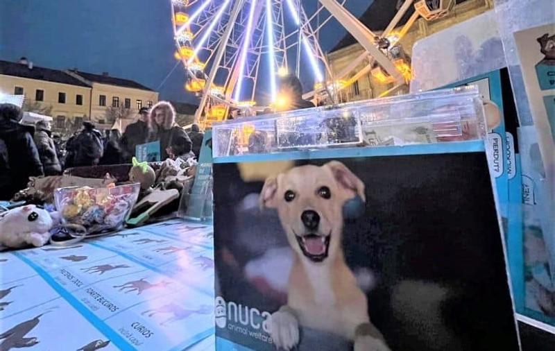 Asociația NUCA, de protecție a animalelor, scoasă din Târgul de Crăciun Cluj-Napoca: „Nu ne integrăm!” Ce spun organizatorii